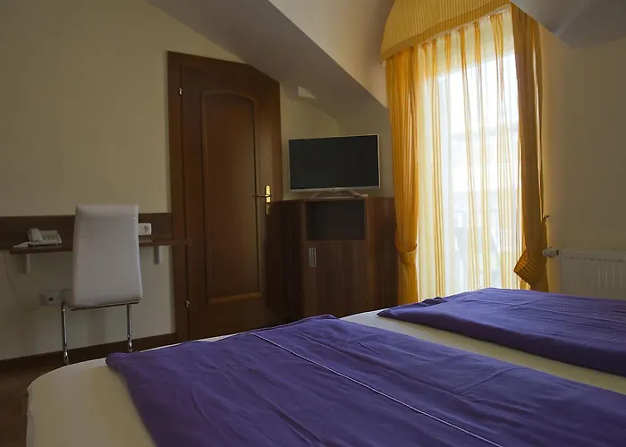بيت ضيافة Pansion Maestral 3*